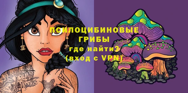 бошки Алексеевка