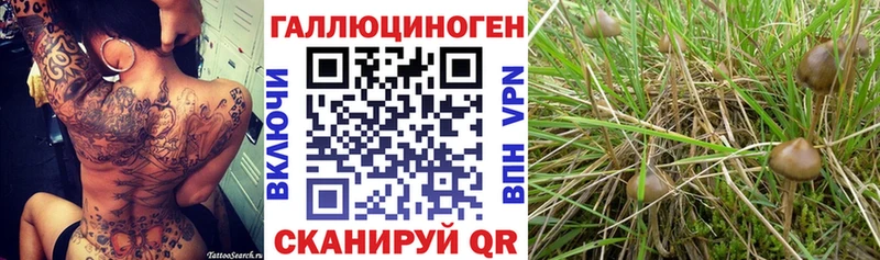 Галлюциногенные грибы прущие грибы  Островной 